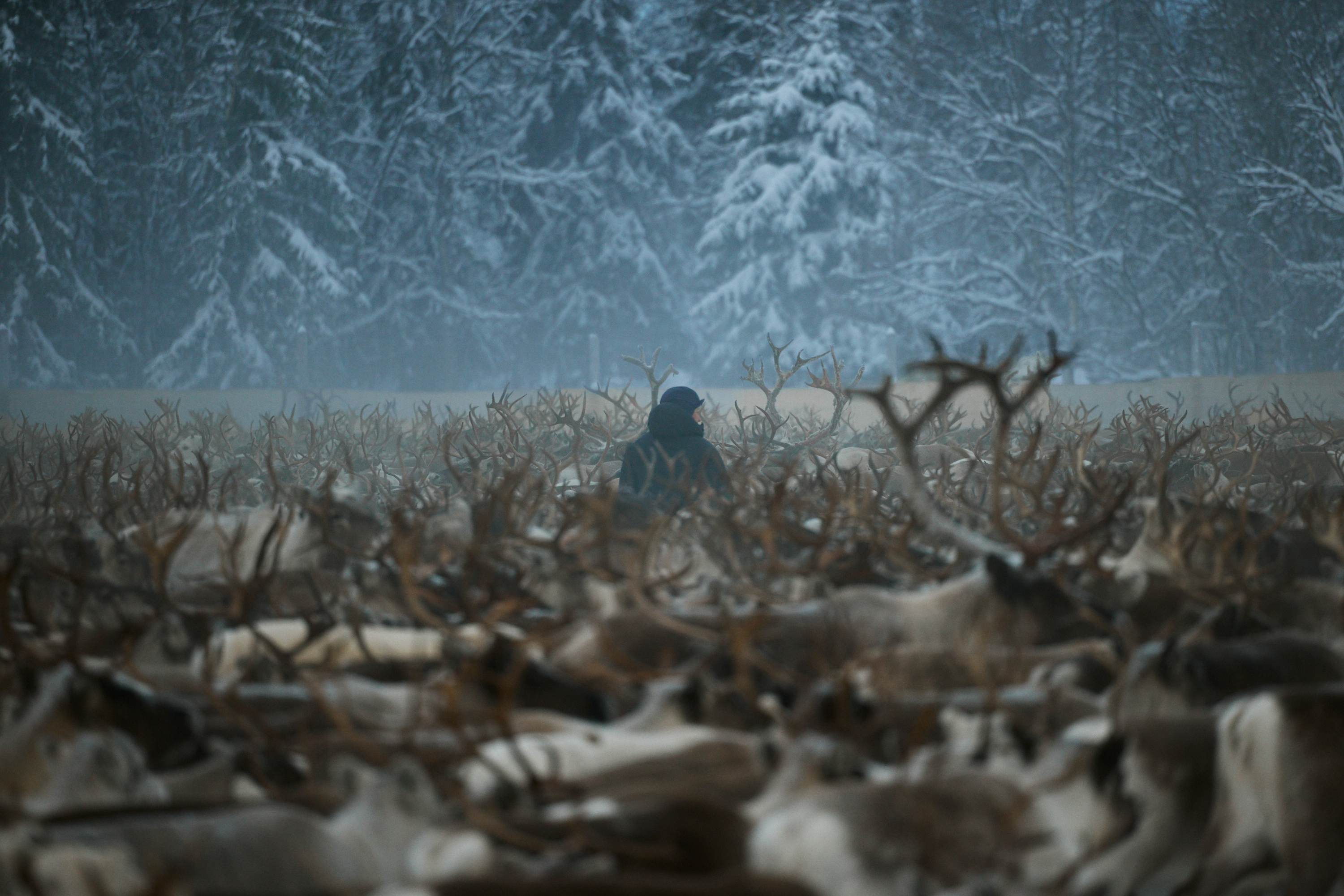 SÁPMI