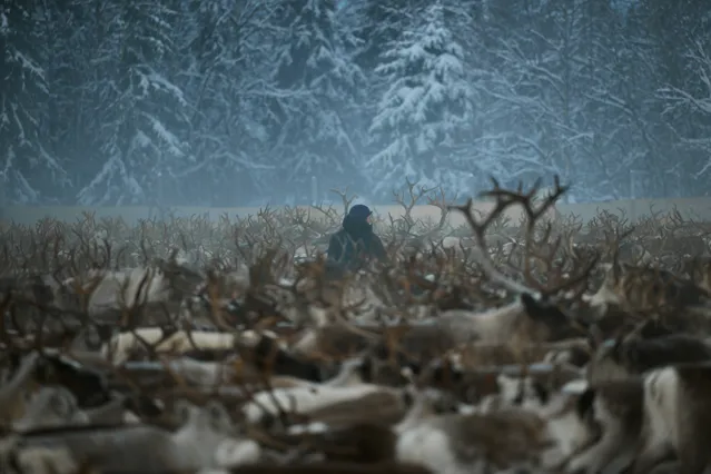 SÁPMI